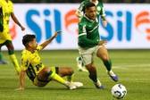 Lance de Palmeiras 1 x 1 Mirassol no Allianz Parque (Foto: Cesar Greco/Palmeiras)