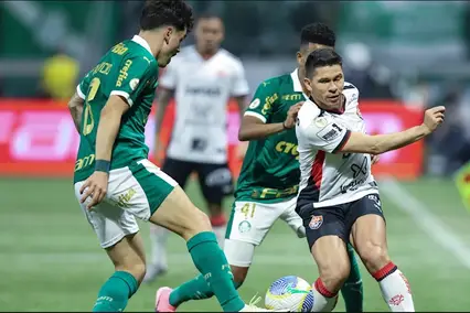 Palmeiras X Vitoria (Foto: Alexandre Schneider)