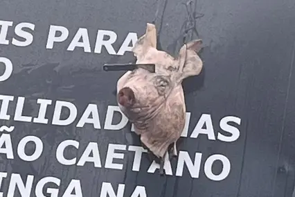 “Tradição” de provocar o Palmeiras com uma cabeça de porco começou em 2024, com episódio na 32ª rodada do Brasileirão (Foto: X/Reprodução)