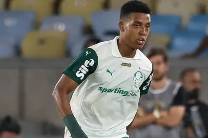 Vanderlan durante jogo entre Fluminense e Palmeiras, pelo Brasileirão (Foto: Cesar Greco/Palmeiras/by Canon)