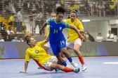 Copa do Mundo Feminina (Foto: Nelson Terne / CBF)