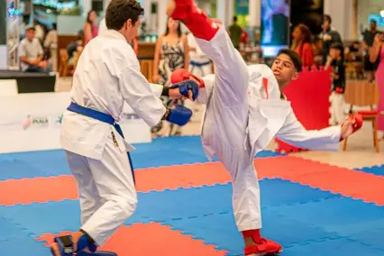 karatê Kids (Foto: Governo do Estado)